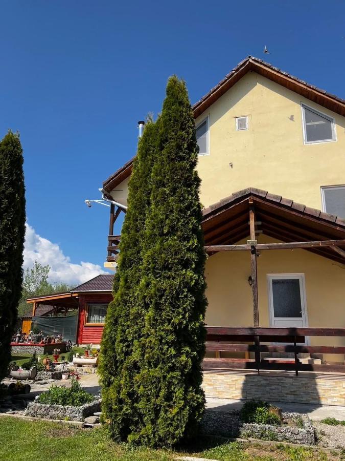 Pensiunea Colt De Rai, Vistisoara Statiunea Climaterica Sambata Zewnętrze zdjęcie